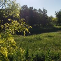 Live Water Recreational Ranch For Sale in Brown County  TX images 6