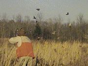 Hunt Quail and Deer at Family-Friendly Preserve
