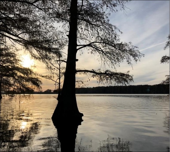 738 Acres in Bolivar County in Benoit  MS featured image
