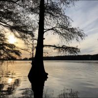 738 Acres in Bolivar County in Benoit  MS