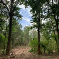 97 acres on Dinan Salem Rd images 2