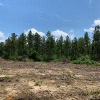 97 acres on Dinan Salem Rd images 4