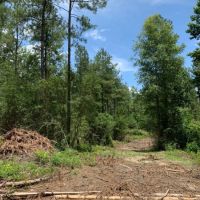 97 acres on Dinan Salem Rd images 5
