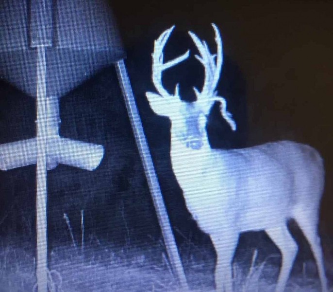 Secluded Hunting Tract for Sale Timber Land Copiah Co MS featured image