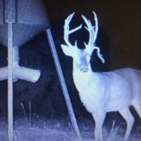 Secluded Hunting Tract for Sale Timber Land Copiah Co MS