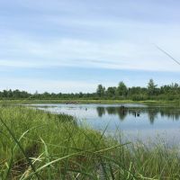 45 acres Land with Backwoods Pond Bombay NY