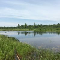 45 acres Land with Backwoods Pond Bombay NY images 4