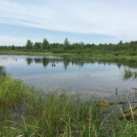 45 acres Land with Backwoods Pond Bombay NY images 6