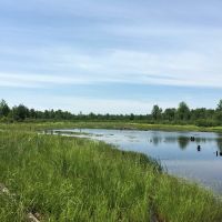 45 acres Land with Backwoods Pond Bombay NY images 5
