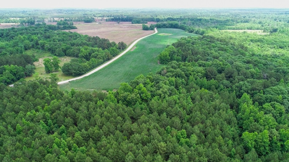 Longbrook Drive featured image