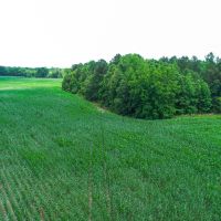 Longbrook Drive images 5