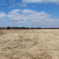 Green Lake County Land For Sale images 4