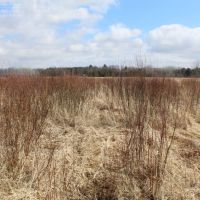 Green Lake County Land For Sale images 5