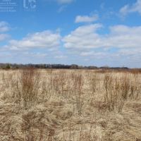 Green Lake County Land For Sale images 6