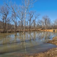 Rose Ranch - Osage County images 5