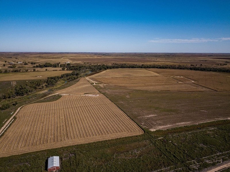 Hallagin Kansas Farm featured image