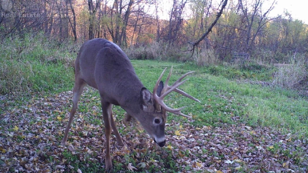 Hunting Land with Kickapoo River Frontage Southwestern Wisconsin
