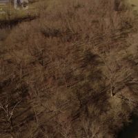 Hunting Land with Kickapoo River Frontage Southwestern Wisconsin images 4
