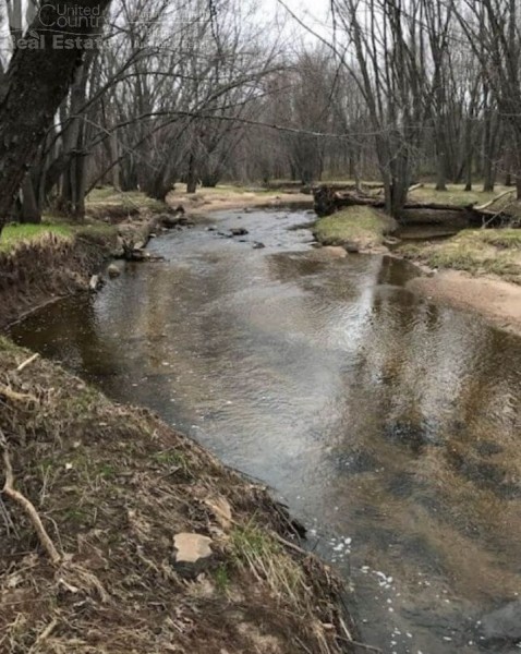 Acreage with Creek in Clark County WI featured image