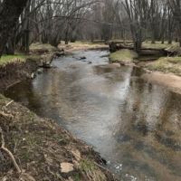 Acreage with Creek in Clark County WI