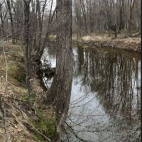 Acreage with Creek in Clark County WI images 2