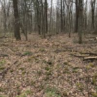 Acreage with Creek in Clark County WI images 3