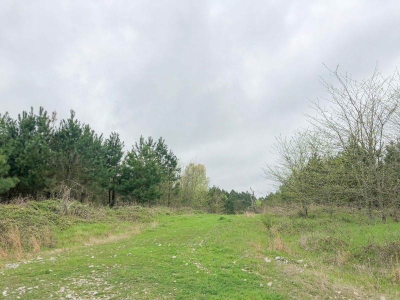 2182 Acres &nbsp; CR 3365 &nbsp; Tract 1006 featured image