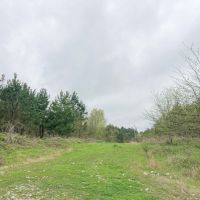 2182 Acres &nbsp; CR 3365 &nbsp; Tract 1006