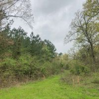 2182 Acres &nbsp; CR 3365 &nbsp; Tract 1006 images 2