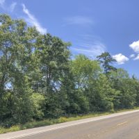 138 Acres &nbsp; Menard Creek West &nbsp; 311041 images 2