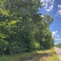 138 Acres &nbsp; Menard Creek West &nbsp; 311041 images 3