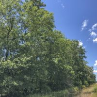 138 Acres &nbsp; Menard Creek West &nbsp; 311041 images 5