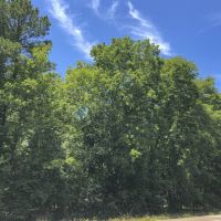 138 Acres &nbsp; Menard Creek West &nbsp; 311041 images 6