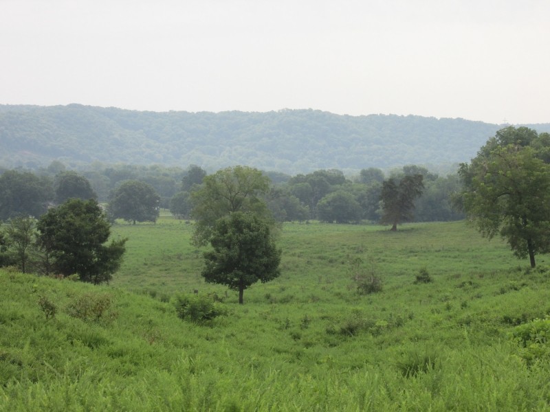River View Ranch267-jc featured image
