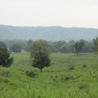 River View Ranch267-jc