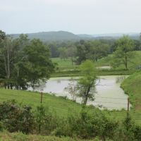 River View Ranch267-jc images 2