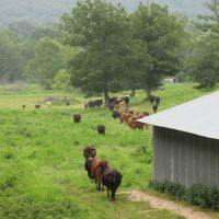River View Ranch267-jc images 5