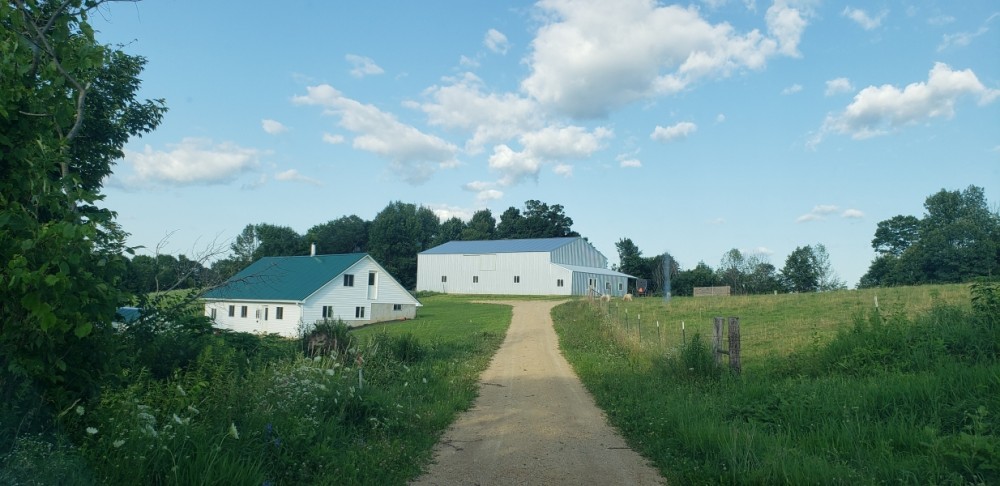 Beautiful 40 Acre Parcel in Big Buck Country Richland County featured image
