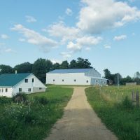 Beautiful 40 Acre Parcel in Big Buck Country Richland County