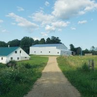 Beautiful 40 Acre Parcel in Big Buck Country Richland County images 3