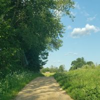 Beautiful 40 Acre Parcel in Big Buck Country Richland County images 4