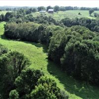 Beautiful 40 Acre Parcel in Big Buck Country Richland County images 5