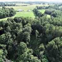 Beautiful 40 Acre Parcel in Big Buck Country Richland County images 6