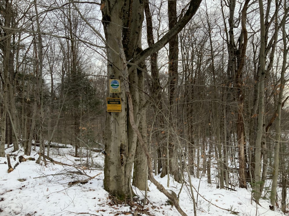 298 acres Southern Adirondack Hunting Land featured image