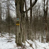 298 acres Southern Adirondack Hunting Land