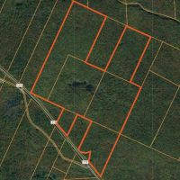 298 acres Southern Adirondack Hunting Land images 5