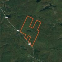 298 acres Southern Adirondack Hunting Land images 3