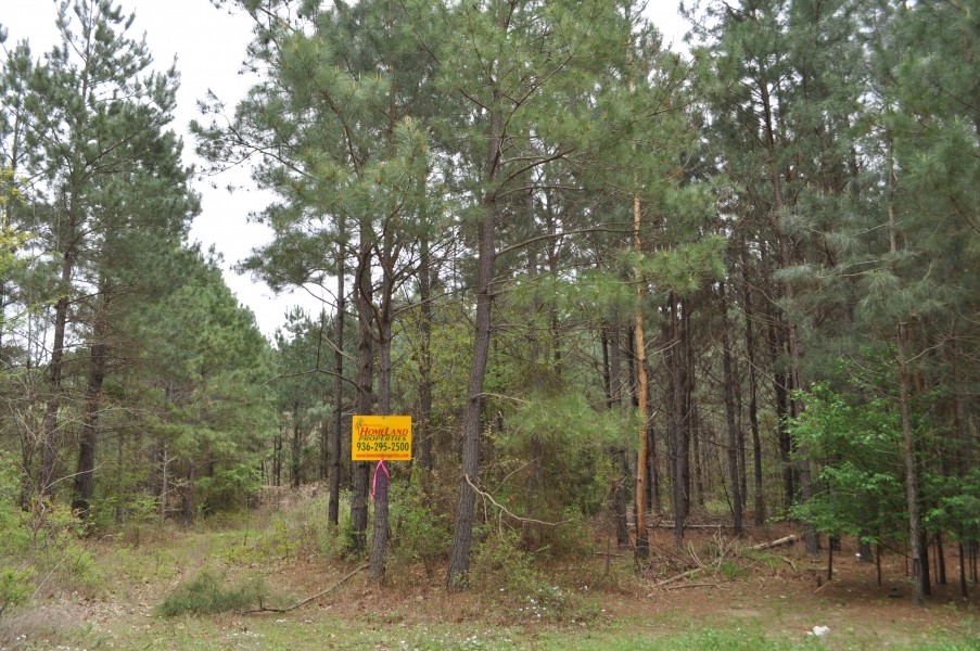 282 Acres &nbsp; CR 2213 &nbsp; Tract 1191 featured image