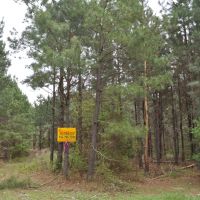 282 Acres &nbsp; CR 2213 &nbsp; Tract 1191