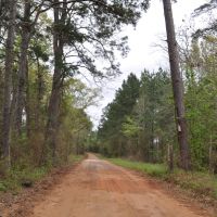282 Acres &nbsp; CR 2213 &nbsp; Tract 1191 images 2